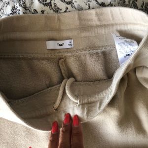 Aritzia joggers